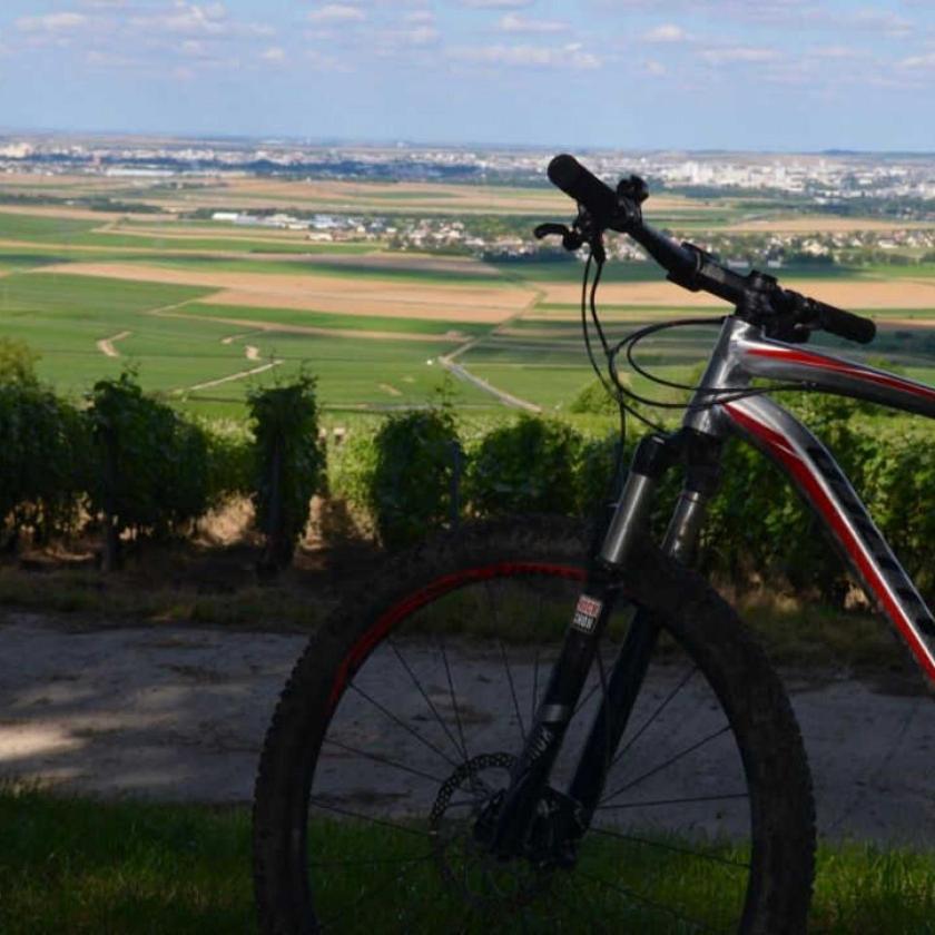 Gite Saint Martin Pargny-les-Reims Exterior foto